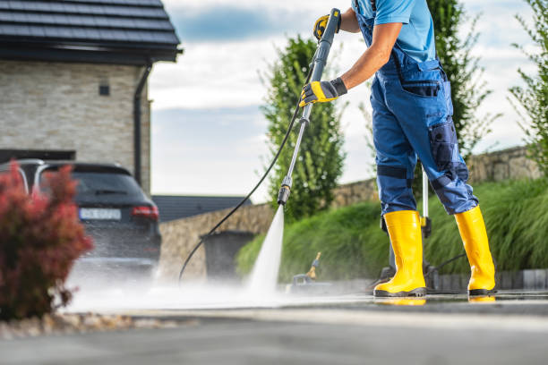 Animal Enclosure Cleaning in Orangeburg, SC